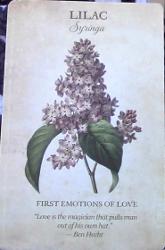 Botanical Inspirations Deck & Book Set